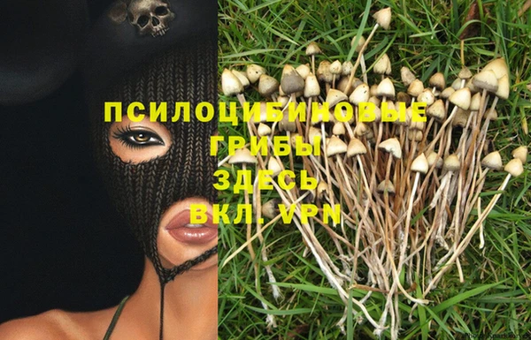 mdpv Бронницы