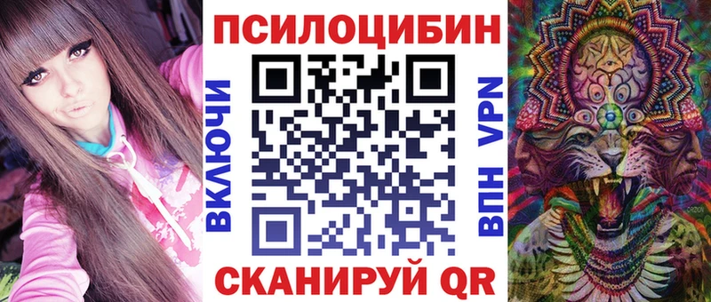 Галлюциногенные грибы MAGIC MUSHROOMS  Купить закладки  Гурьевск 